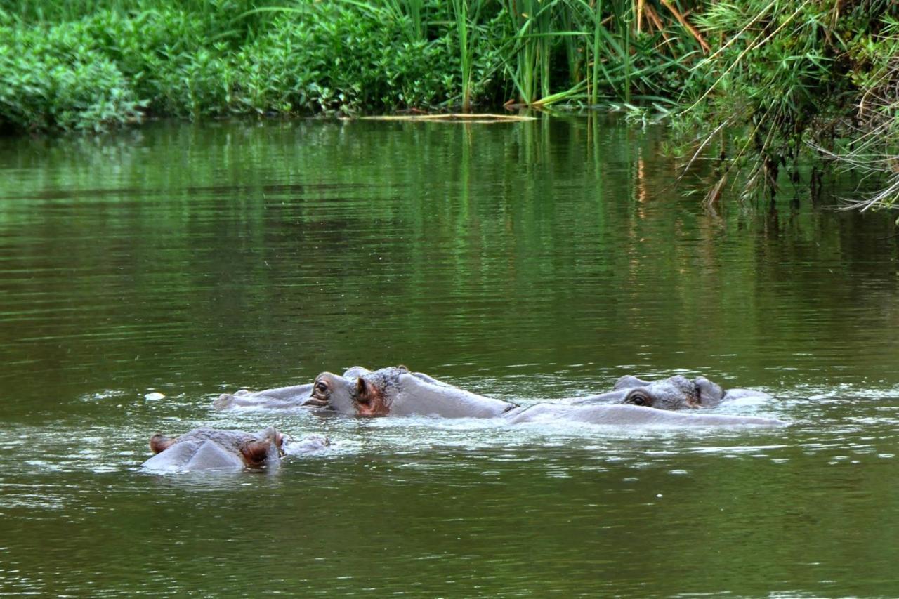 Kruger Park Lodge Unit No. 608B เฮซีวิว ภายนอก รูปภาพ