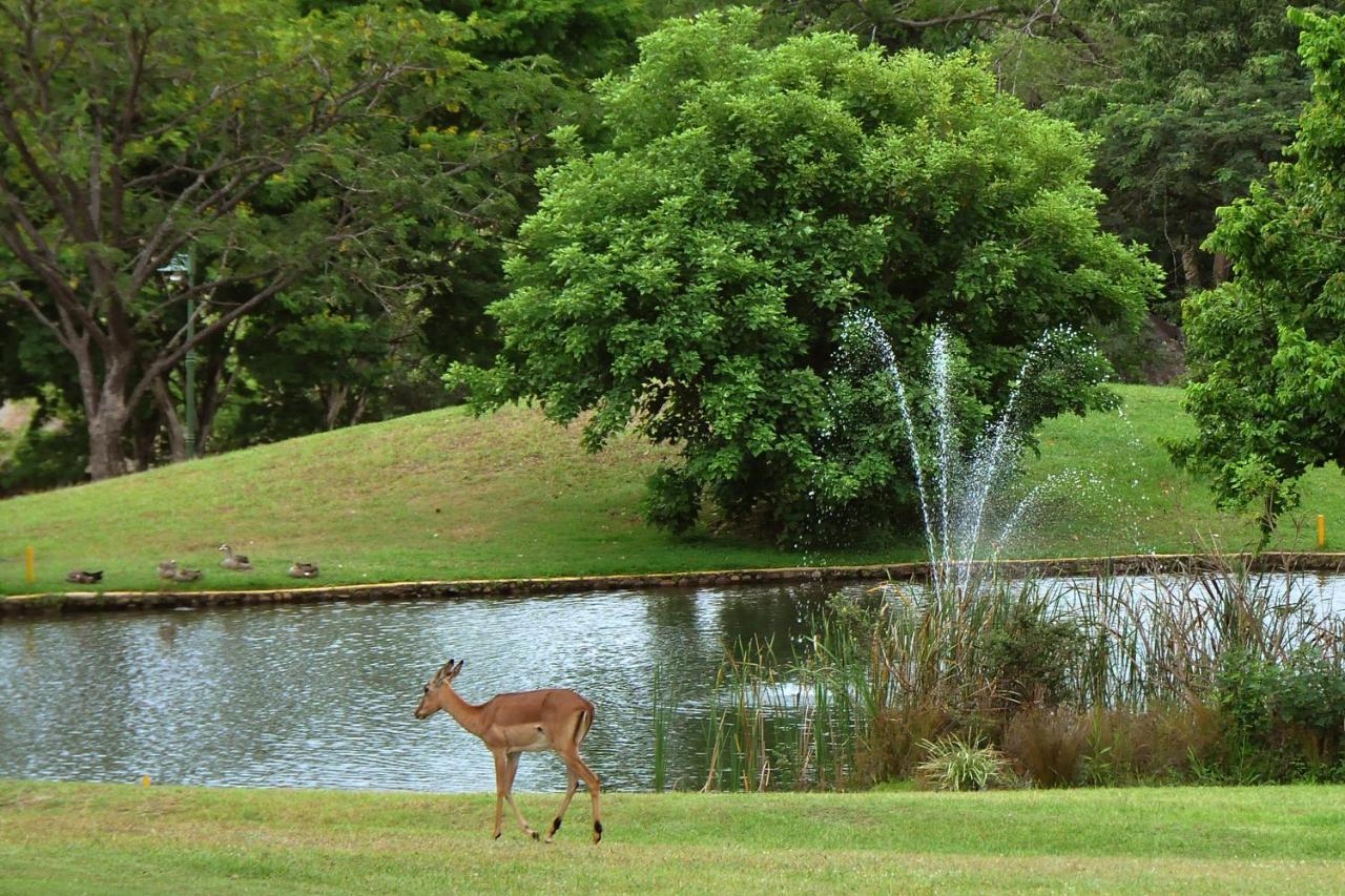Kruger Park Lodge Unit No. 608B เฮซีวิว ภายนอก รูปภาพ
