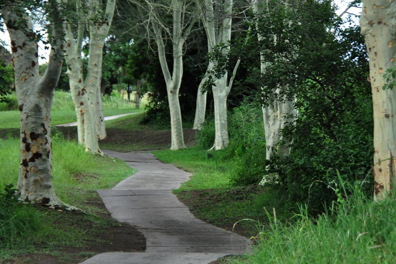 Kruger Park Lodge Unit No. 608B เฮซีวิว ภายนอก รูปภาพ